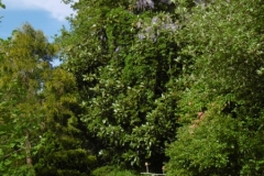 P1010202