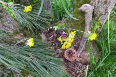 IMG_20200402_185457_BURST1