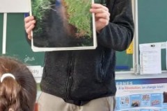 Ruisseau-naturel-ou-artificiel