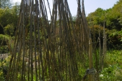 P1010154