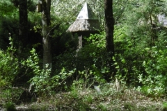 P1010161