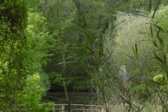 P1010178