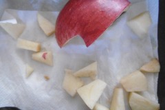 P1000177