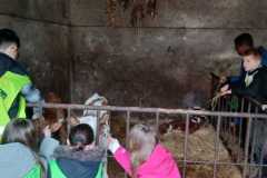 WhatsApp-Image-2026-02-13-at-09.00.47