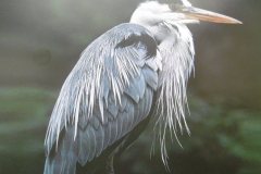 P1020301