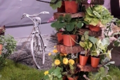 20190509_110111