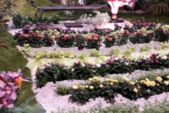 20190509_110816