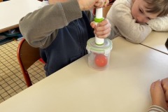 IMG_6368